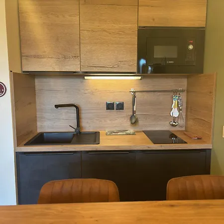 Confort Moderne Aux Pieds Des Pistes, Balcon, Wifi, Animaux Admis - Fr-1-329-102 Apartment La Plagne-Tarentaise