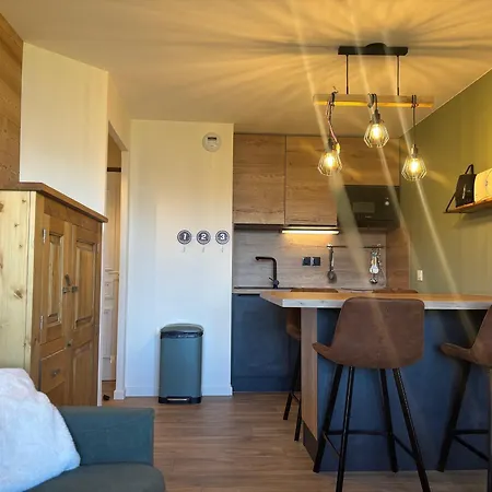 Confort Moderne Aux Pieds Des Pistes, Balcon, Wifi, Animaux Admis - Fr-1-329-102 * La Plagne-Tarentaise