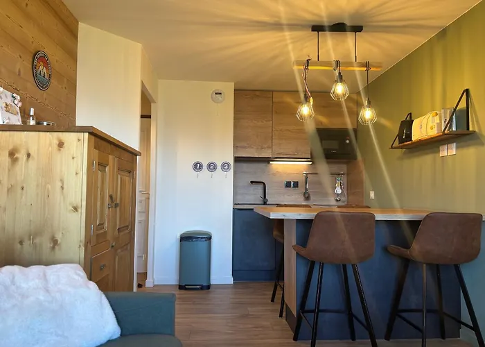 Confort Moderne Aux Pieds Des Pistes, Balcon, Wifi, Animaux Admis - Fr-1-329-102 * La Plagne-Tarentaise