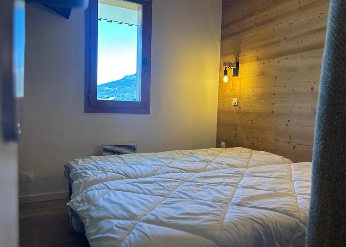 Confort Moderne Aux Pieds Des Pistes, Balcon, Wifi, Animaux Admis - Fr-1-329-102 * La Plagne-Tarentaise