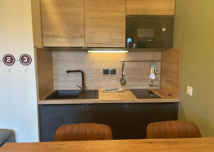 Confort Moderne Aux Pieds Des Pistes, Balcon, Wifi, Animaux Admis - Fr-1-329-102 Lägenhet La Plagne-Tarentaise