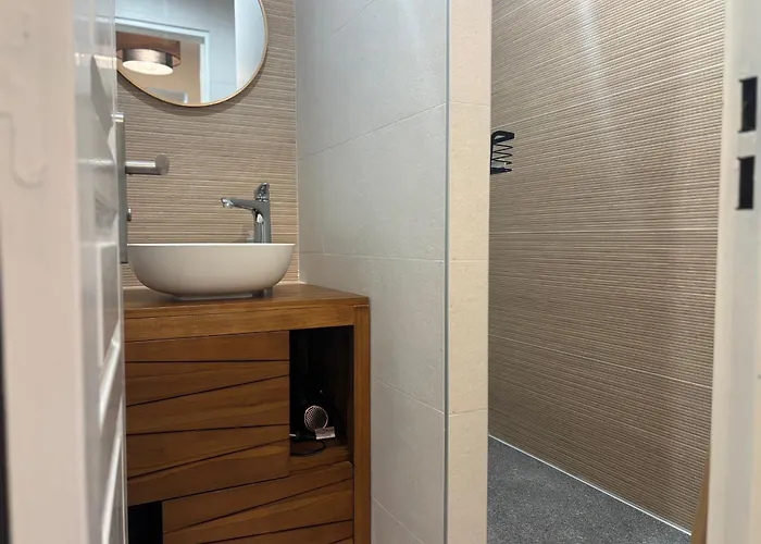 Confort Moderne Aux Pieds Des Pistes, Balcon, Wifi, Animaux Admis - Fr-1-329-102 * La Plagne-Tarentaise